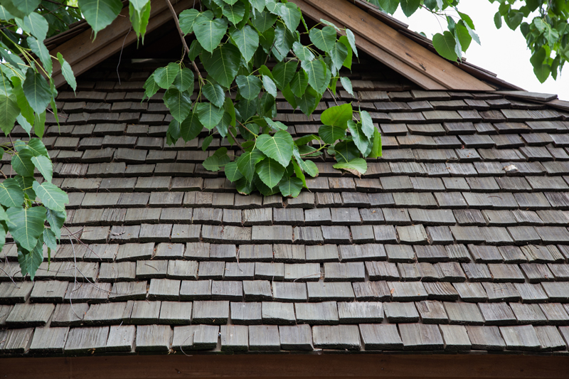 cedar shake roof maintenance