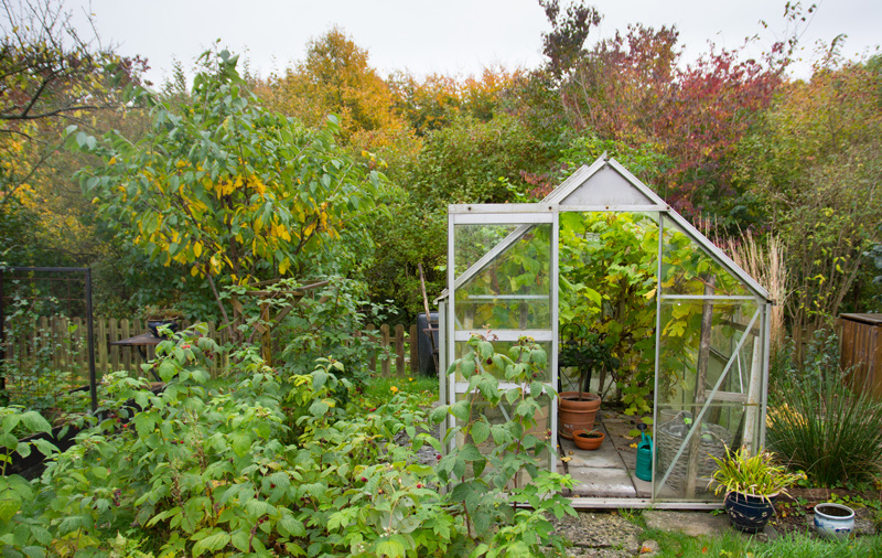 Conservatory vs Greenhouse Which Offers Best Value For Money?