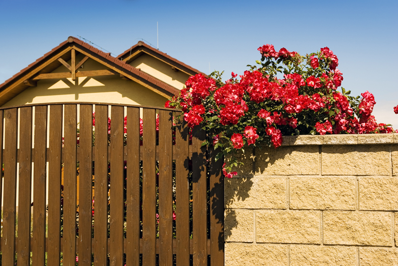 How to Prevent Fence Rot: 6 Top Tips and Tricks