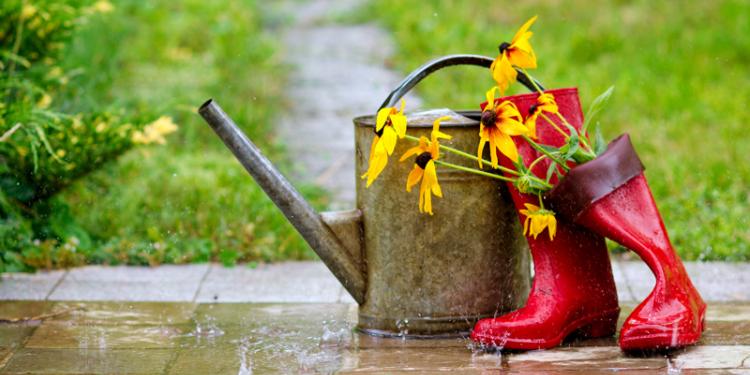 TAKE 3: Wet Weather Gardening Activities To Make A Difference