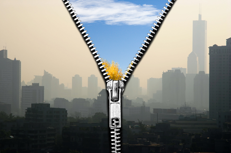 Ways to Improve Air Quality That Actually Work Home Logic