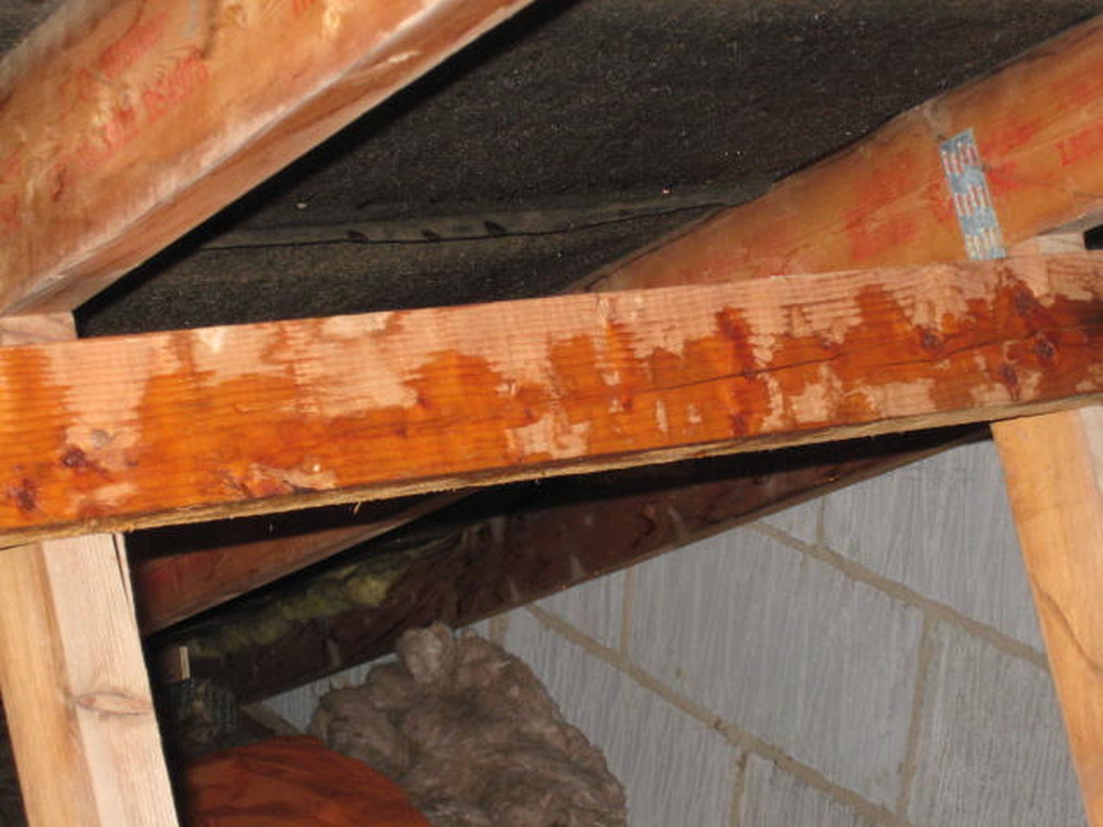 Condensation In Loft After Insulating How To Fix It Home Logic