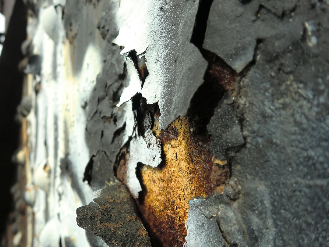 SOLVED What Would Cause Paint To Peel Off Walls? Home Logic