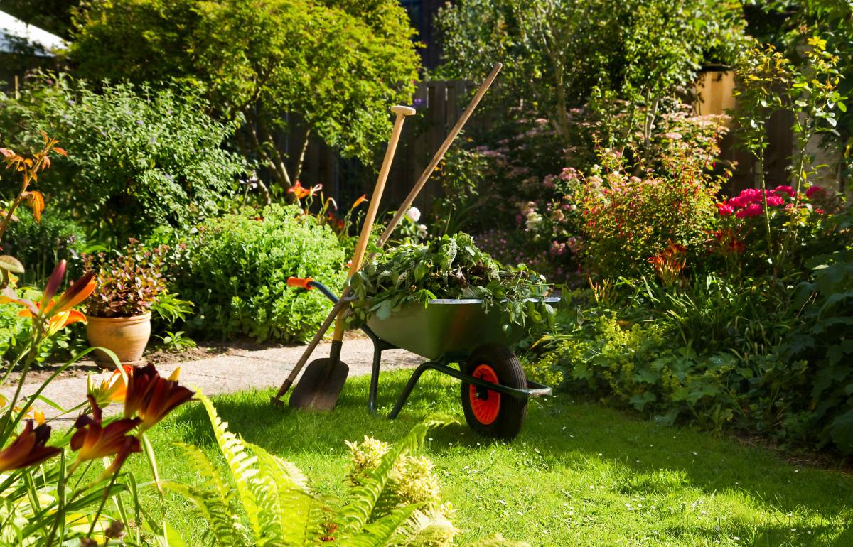 national gardening week
