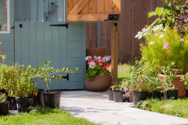 The Cheapest Way To Make A Shingle Garden With A Border